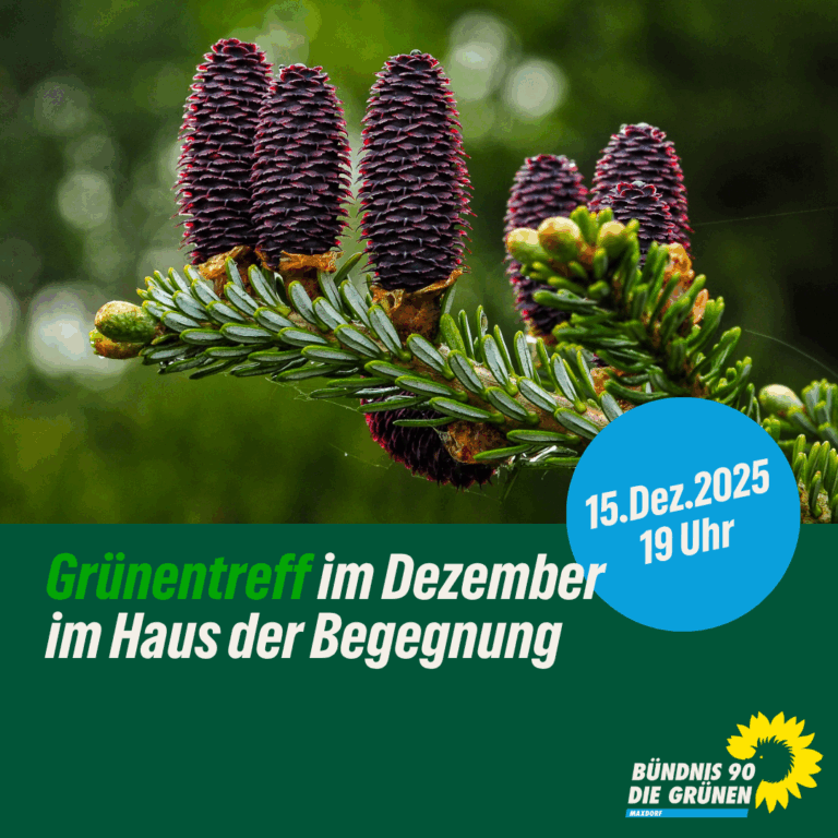 Grünentreff im Dezember